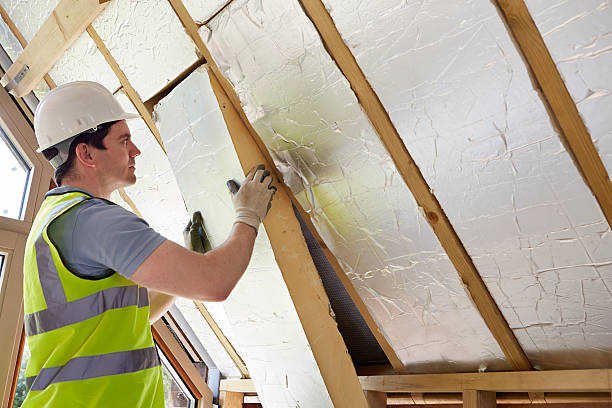 Best Residential Insulation in Parchment, MI