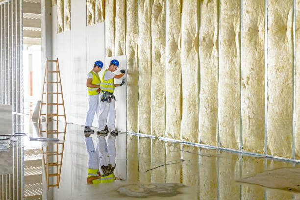 Best Insulation Maintenance and Repair in Parchment, MI
